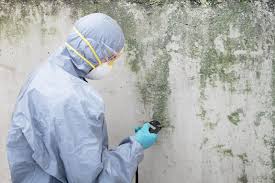 Best Forensic Mold Investigation  in Eggertsville, NY